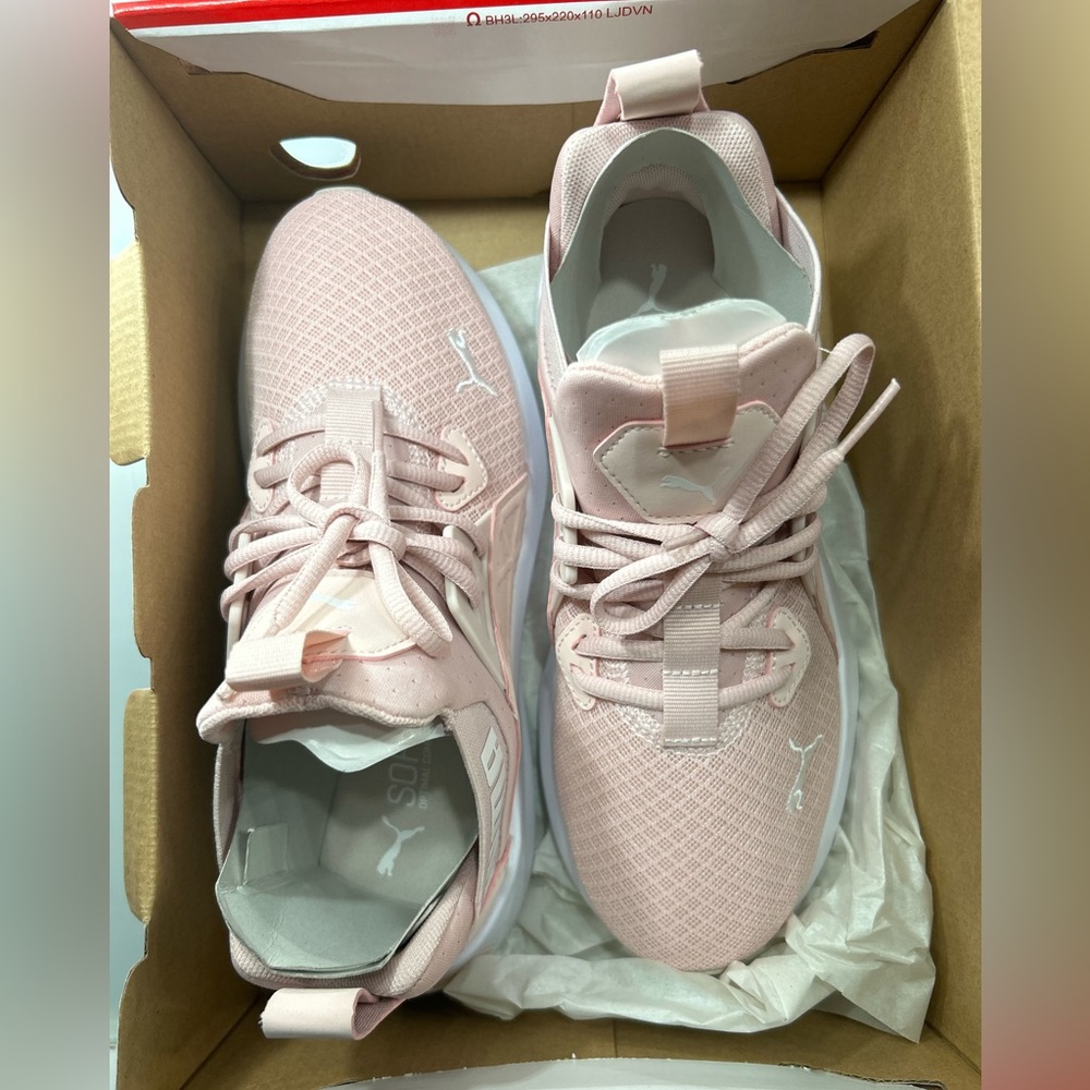 pumas